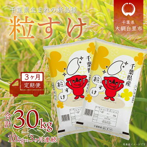 yӂ邳Ɣ[Łzy2025N10蔭Jnz3ց ߘa7NY tYuv10kg×3A v30kg ӂ邳Ɣ[   10kg 3J  t Ԕs  A031