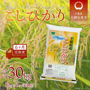 yӂ邳Ɣ[Łzy10Jnz6ցtYuRVqJv5kg×6A v30kg ӂ邳Ɣ[   5kg 6J RVqJ t Ԕs  A026