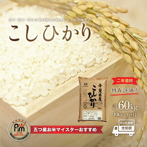 yӂ邳Ɣ[Łz6ց2NAA]ItYRVqJ10kg×6A v60kg ӂ邳Ɣ[    10kg 6J 60kg tY Ԕs RVqJ    E0
