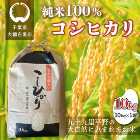 【ふるさと納税】【令和8年産】千葉県 大網白里市産 コシヒカリ 10kg（10kg×1袋） お米 10kg 千葉県産 大網白里市 コシヒカリ 米 精米 こめ 送料無料 J001