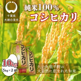 【ふるさと納税】千葉県 大網白里市産 コシヒカリ 10kg（5kg×2袋） お米 10kg 千葉県産 大網白里市 コシヒカリ 米 精米 こめ 送料無料 J001