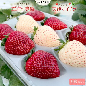 yӂ邳Ɣ[Łzs\y2025N12{菇zy󏭁zC`Sigju^g̔vC`SuVg̃C`Svl    Â [g ^g̔ Vg̃C`S M