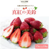 【ふるさと納税】先行予約【2025年12月中旬より順次発送】大網白里市発祥...