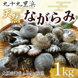 【ふるさと納税】 九十九里浜　天然ながらみ　1kg【名産】ふるさと納税 ながらみ 幻の貝 九十九里産 貝 国産 千葉県 大網白里市 送料無料 P005