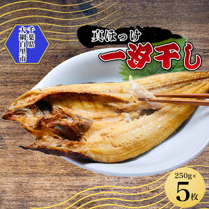 yӂ邳Ɣ[Łz^قꎬ 250g×5(gset-11) AJ006 / yΕ lLz 11/1tJnI / ق zbP    Ε p p t Ԕs