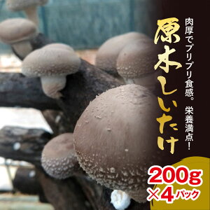 yӂ邳Ɣ[Łzys\ 11{珇z؂ 200g×4pbN y ӂ邳Ɣ[ lC  LO  ő  ̂ pbN e t Ԕs 