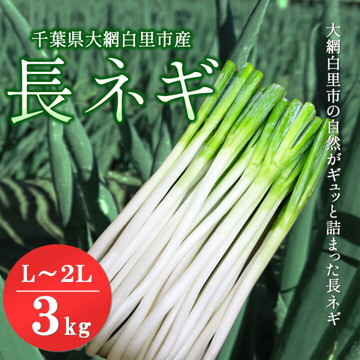 楽天市場】【ふるさと納税】【先行予約12月発送】千葉県大網白里市産 