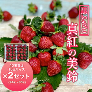 yӂ邳Ɣ[Łz y2026N1{Jnz^g̔ TCY 12ʖ15×2Zbg ӂ邳Ɣ[   C`S t Ԕs  AB001