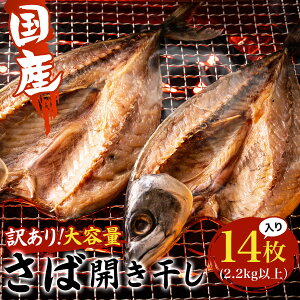 yӂ邳Ɣ[Łzy󂠂zY ΊJ e14@(2.2kgȏj ӂ邳Ɣ[ KiO 󂠂 A  To I    t Ԕs  AE003