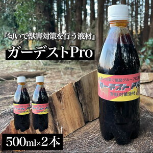 yӂ邳Ɣ[Łz K[fXgPro 500ml×2{ӂ邳Ɣ[  Qb Nh~ ΍ F΍ N}΍ CmVV΍ ΍ VJ΍ L L悯  悯 t Ԕs 