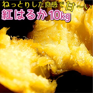 yӂ邳Ɣ[ŁzIׂe ʌ ˂Ƃ g͂邩 5kg 10kg Â n ܂ Tc}C F t X䒬 s\