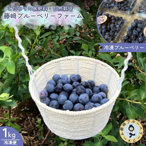 yӂ邳Ɣ[ŁzⓀ u[x[ 1kg Yu[x[ tY X䒬Y R͔| pbN u[x[ 