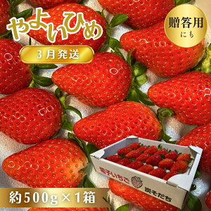 �y�ӂ邳�Ɣ[�Łz��悢�Ђ� �����p ������ �d�q������ �C�`�S ��؂������� ���X�䒬 �Y������ ��悢�P �� 500g × 1�� �M�t�g ���n������ ���n�C�`�S �I�ׂ锭���� 1������ 2������ 3������