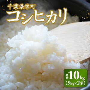yӂ邳Ɣ[Łzߘa7NY s\ hYRVqJ10kgi5kg×2܁jkt@[ 25-3 Eւ̔zs 2025N9{菇\bߘa7NY  V s\  