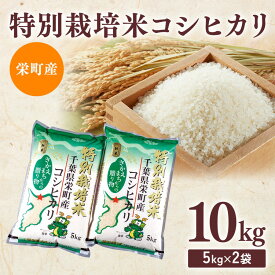 【ふるさと納税】令和7年産米（数量限定）栄町産 特別栽培米 コシヒカリ10kg（5kg袋×2） ちば緑耕舎｜令和7年産 白米 新米 精米 お米 コメ ごはん お弁当 おにぎり 人気 おすすめ ※沖縄・離島への配送不可 ※2025年10月上旬頃より順次発送予定 26-1