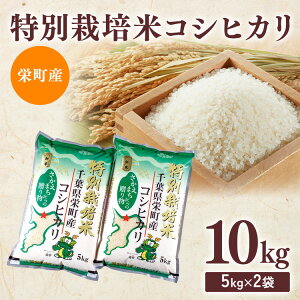 yӂ邳Ɣ[Łzߘa7NYāiʌjhY ʍ͔| RVqJ10kgi5kg×2j Η΍kɁbߘa7NY  V   R ͂ ٓ ɂ lC  E