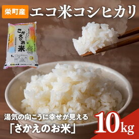 【ふるさと納税】令和7年産米（数量限定）ちばエコ認定米 栄町産 コシヒカリ10kg（5kg袋×2） 長谷川農園｜令和7年産 白米 新米 精米 お米 コメ ごはん お弁当 おにぎり 人気 おすすめ ※沖縄・離島への配送不可 ※2025年10月下旬頃より順次発送予定 26-2