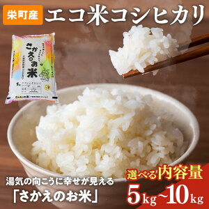 �y�ӂ邳�Ɣ[�Łz�y�I�ׂ���e�ʁz�ߘa7�N�Y�āi���ʌ���j���΃G�R�F��� �h���Y �R�V�q�J�� ���J��_���b�ߘa7�N�Y ���� �V�� ���� ���� �R�� ���͂� ���ٓ� ���ɂ��� �l�C �������� ����