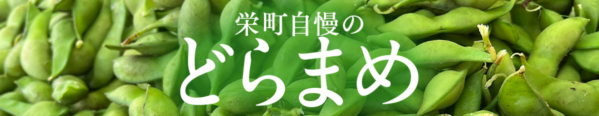 どらまめ
