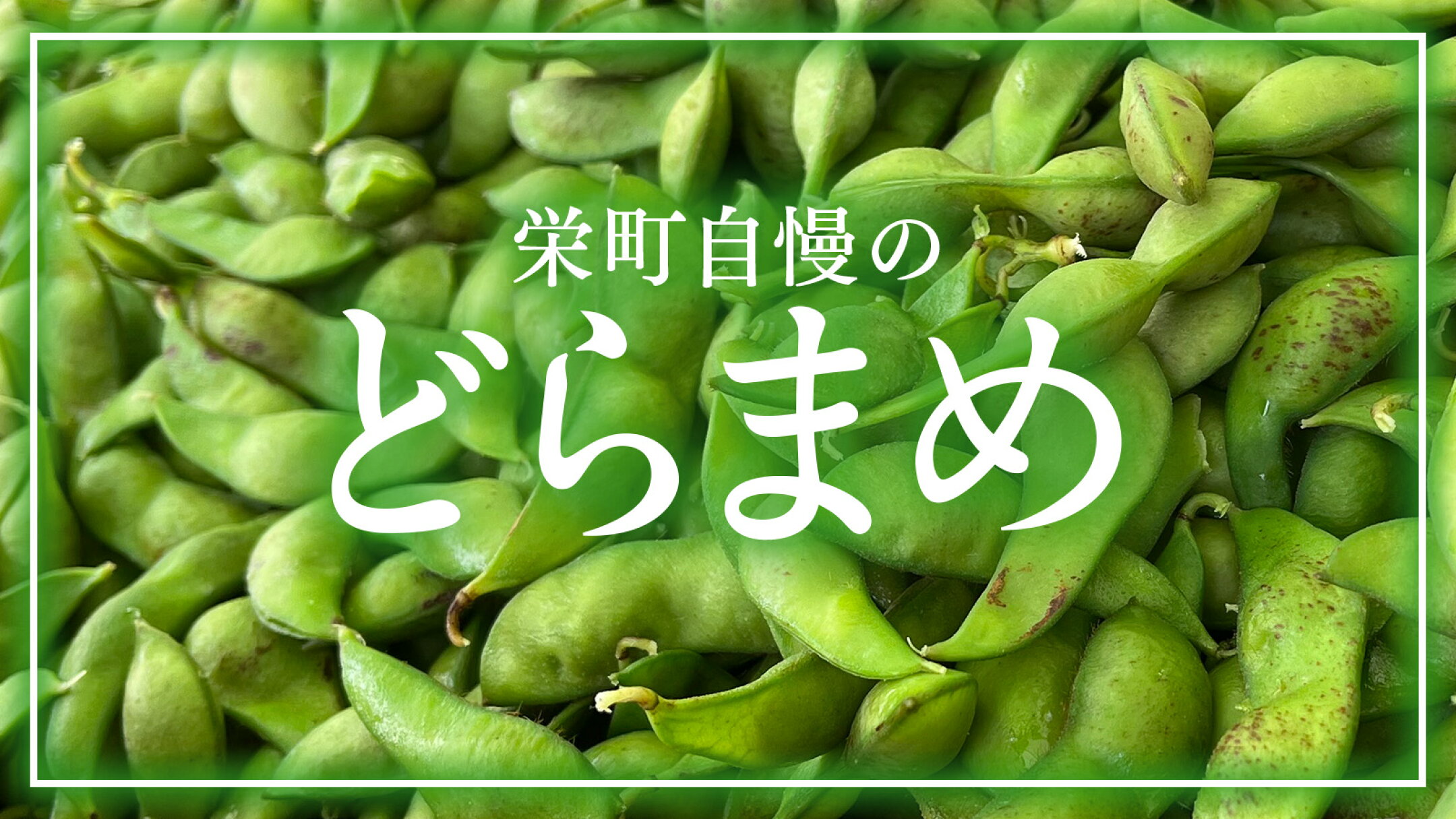 どらまめ