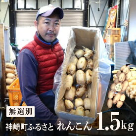 【ふるさと納税】レビュー☆4.53【訳ありor 無選別】無選別 れんこん1.5~3kg or 訳あり れんこん4kg （※4～7月受付分は8月以降順次発送）テレビで紹介されました！【ふるさと納税 人気 野菜 蓮根 レンコンきんぴら 訳あり 4kg 無選別 1.5kg 3kg 】