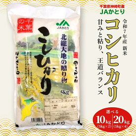 【ふるさと納税】【数量が選べる】JAかとり直送 新米コシヒカリ 精米10kg/20kg 千葉県産 令和7年産 神崎町