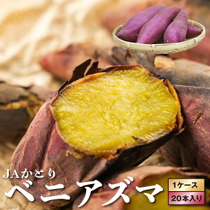 【ふるさと納税】千葉県神崎町 JAかとり産 さつまいも 紅あずま Mサイズ20本入り ほくほく香ばしい 定番の味 焼き芋・干し芋に べにあずま ベニアズマ