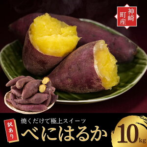 yӂ邳Ɣ[Łzs\ _蒬Y ׂɂ͂邩 ܂ 3`10kgy󂠂 I / yt / 􂢁z(5`12t͗N1{ȍ~)b܈ Ă Ă C  g͂邩 