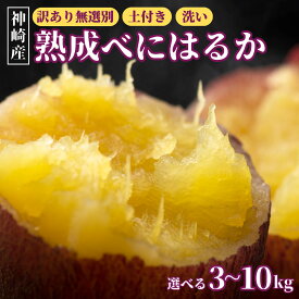 【ふるさと納税】＜先行予約＞ 神崎町産 べにはるか さつまいも 3〜10kg【訳あり 無選別 / 土付き / 洗い】(5～12月受付分は翌年1月中旬以降発送)｜さつま芋 焼き芋 焼きいも イモ 芋 紅はるか 10kg 5kg 3kg 訳アリ しっとり 濃厚 蜜 スイートポテト にも ファームおせげん