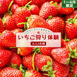 �y�ӂ邳�Ɣ[�Łz�y1�`4������z�Â��ăW���[�V�[�I�x���[�t�@�[���e�g���̂��������̌��i��l2���j[020-a001]