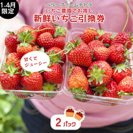 【ふるさと納税】【いちご農園でお渡し・1～4月限定】甘くてジューシー！ベリーファームテトラの新鮮いちご引換券（2パック）｜千葉県神崎町ふるさと納税[020-a002]