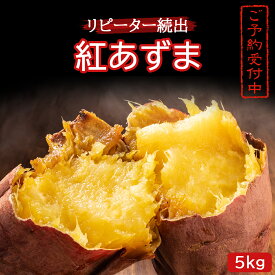 【ふるさと納税】《注文殺到のため発送は12月以降》リピーター続出！さつまいも 紅あずま5kg 【神崎町・杉山農園から産地直送】【さつまいも いも 芋 紅あずま 焼き芋 チップス 干し芋】[019-a001]