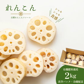 【ふるさと納税】【テレビでも話題】千葉県神崎町産れんこん 2kg（真空パック・冷蔵配送）有機肥料栽培の甘みとシャキシャキ食感 （※4月～8月は出荷不可）【千葉県神崎町産】【千葉県 れんこん 訳あり 神崎町 蓮根 おかず 野菜 レンコン】