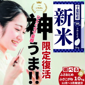 【ふるさと納税】《 発送月が選べる・令和7年産 新米 》千葉県神崎町産 ふさおとめ ／ ふさこがね 10kg（5kg×2袋）｜12月・1月・2月・3月発送分受付中｜早場米産地の新米を食卓へ｜数量限定【精米 米 お米 新米 白米 ご飯 白ごはん 弁当 10キロ】