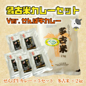 【ふるさと納税】ご飯にはやっぱりカレー!「多古米コシヒカリ2kg」と「せんば牛カレー200g×5」セット【配送不可地域：離島】【1491088】