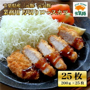 �y�ӂ邳�Ɣ[�Łz���C�� �Ɩ��p ���؂胍�[�X�J�c 5kg(200g×25����)�y�z���s�n��F�����E���ꌧ�z�y1494175�z