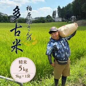 【ふるさと納税】多古米セレクション 柏原徹さんの多古米コシヒカリ 精米5kg 令和7年産【配送不可地域:離島】【1655239】