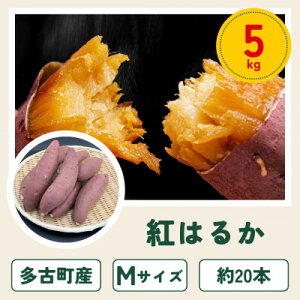 �y�ӂ邳�Ɣ[�Łz���Ò��Y���܂����u�g�͂邩�v5kg�y1699909�z