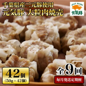 yӂ邳Ɣ[ŁzyցzC 嗱ĔZbg 42Zbg(v2.1kg)S9yzsnFEꌧzy4055283z
