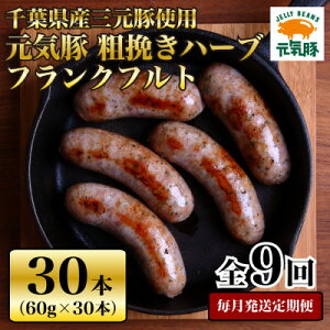 yӂ邳Ɣ[ŁzyցzC e҂n[utNtg 30{Zbg 1.8kg(60g×30{)S9yzsnFEꌧzy4055504z