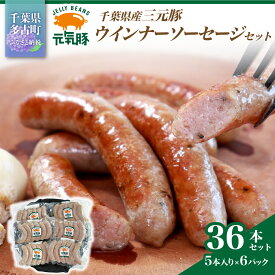 【ふるさと納税】【千葉県多古町産】元気豚 ウインナーソーセージセット(36本入り)【配送不可地域：離島】【TAKB070】