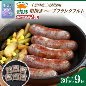 【ふるさと納税】【毎月定期便】元気豚 粗挽きハーブフランクフルト 30本セット 1.8kg(60g×30本)全9回【配送不可地域：離島・沖縄県】【TAKB068】