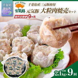 【ふるさと納税】【毎月定期便】元気豚 大粒肉焼売セット 42個セット(計2.1kg)全9回【配送不可地域：離島・沖縄県】【TAKB065】