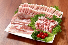【ふるさと納税】千葉県産豚肉　元気豚 精肉4種セット　1.7kg【配送不可地域：離島・沖縄県】TAKB021