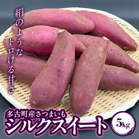 【ふるさと納税】多古町産さつまいも「シルクスイート」5kg【TAKF032】