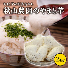 【ふるさと納税】やまと芋の町 多古から「秋山農園のやまと芋」2kg【TAKF049】
