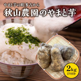 【ふるさと納税】やまと芋の町!多古から「秋山農園のやまと芋」2kg(どろ付き)【TAKF050】