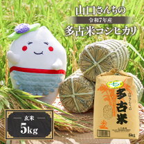 楽天市場】多古米 玄米30kの通販