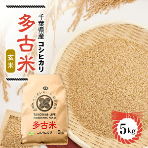 �y�ӂ邳�Ɣ[�Łz�V�āy�ߘa7�N�Y�z�����܂��炢�Ӕ����_��̑��ÕăR�V�q�J��(����)5kg�@�y�z���s�n��F�����E���ꌧ�z�y1438049�z