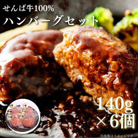 【ふるさと納税】せんば牛100%ハンバーグ 計840g ハンバーグ 千葉 銘牛 牛肉100% 個包装 冷凍 おかず 牛肉 セット 国産 千葉県 東庄町